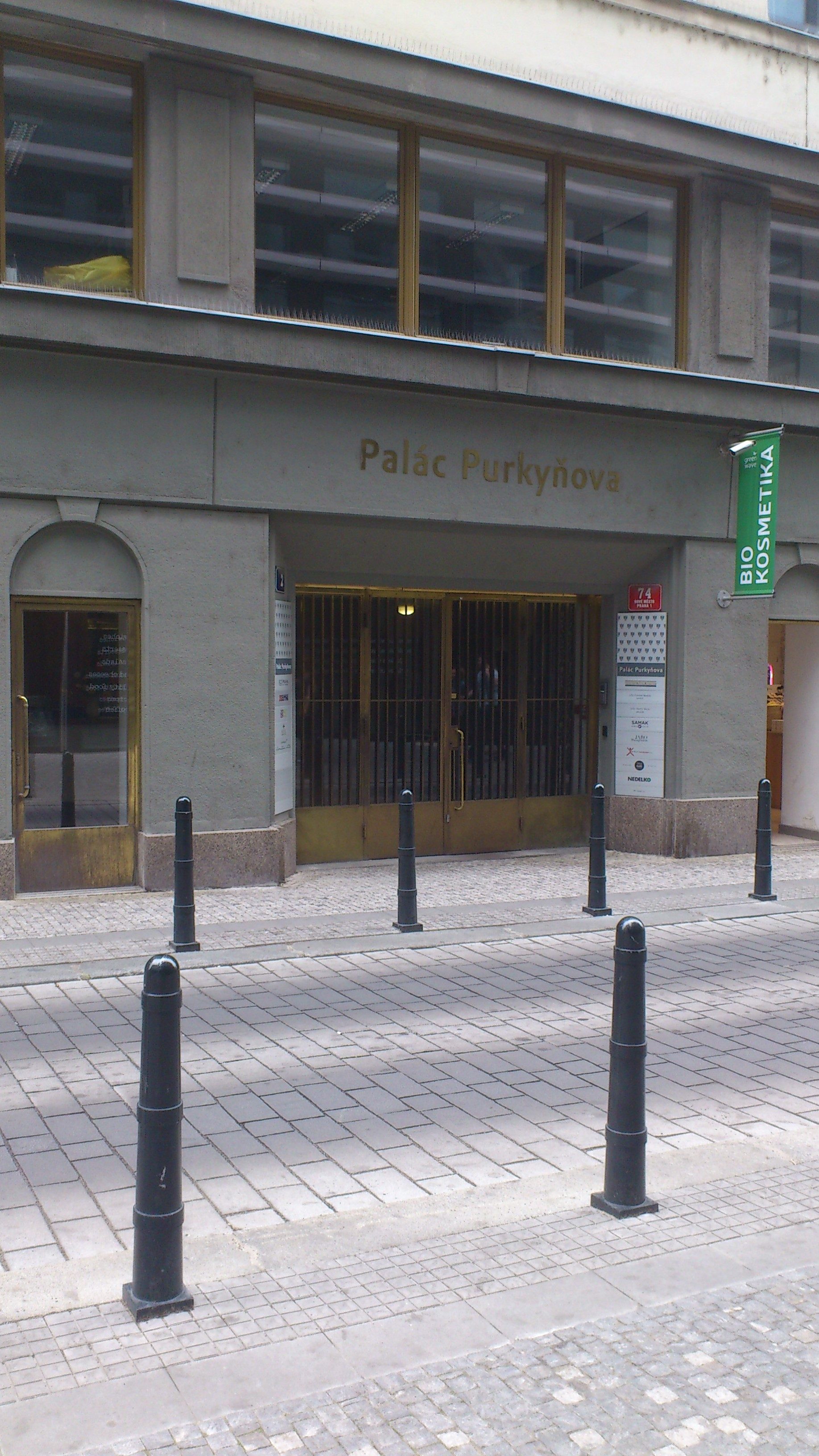 Palac Purkynova.JPG